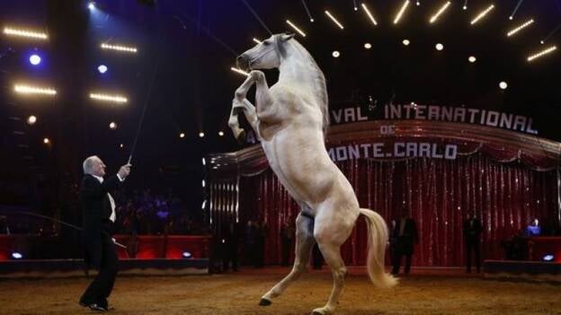 ¿Prohibir los circos con animales? Pregunte a las comunidades autónomas