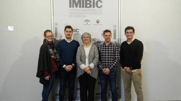 Investigadores constatan la influencia de los ritmos biológicos en las caídas de personas mayores