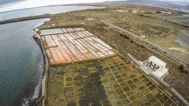 El centro para investigación con algas en Arinaga sale del coma