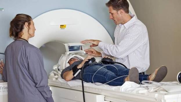 Investigadores identifican un circuito cerebral que apoya el abandono del tabaco