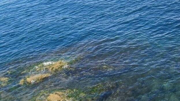 Representantes de 40 países discuten en Portugal un nuevo acuerdo para proteger los océanos