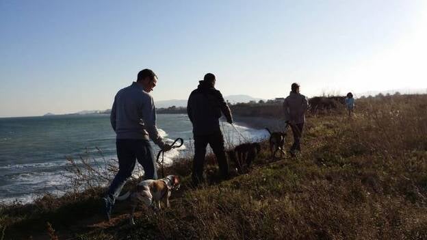 Nace 'Viajesconperro.com' para todos aquellos que no quieran dejar a su mascota en casa