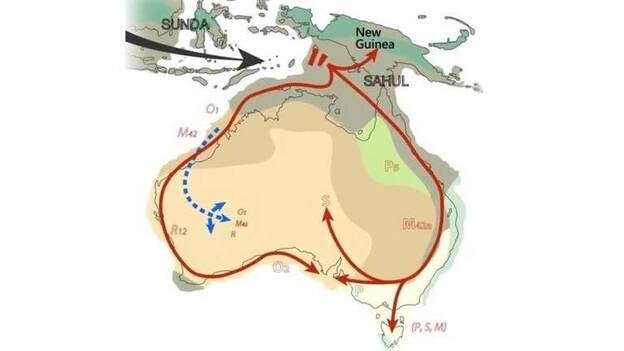 Los aborígenes viven en Australia desde hace 50.000 años
