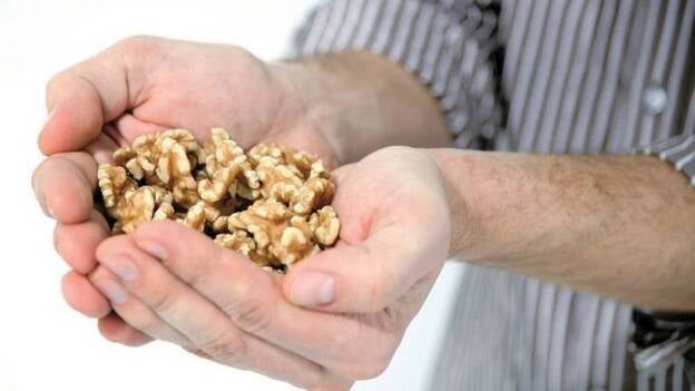 El consumo de nueces podría mejorar la movilidad y la morfología del esperma