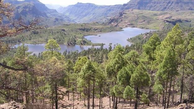 Las presas de Gran Canaria apenas reciben 100.000 metros cúbicos de la lluvia