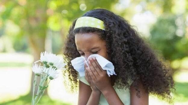 La primavera será menos intensa para los cada vez más alérgicos al polen
