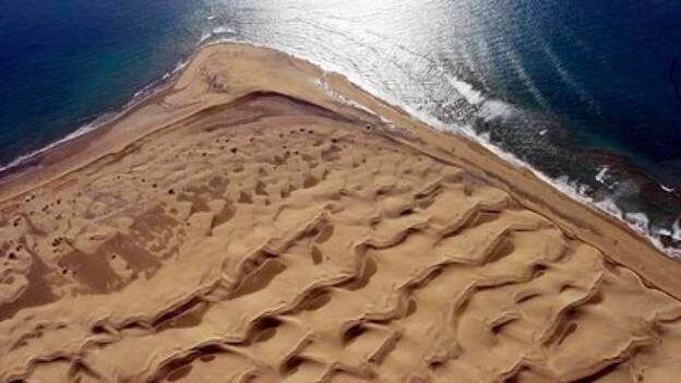 Gran Canaria ha perdido en medio siglo el 65% de dunas y el 22% de humedales