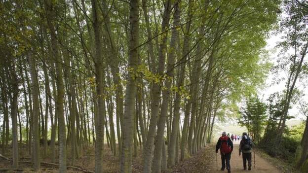 El turista rural elige destinos a más de tres horas de su residencia habitual