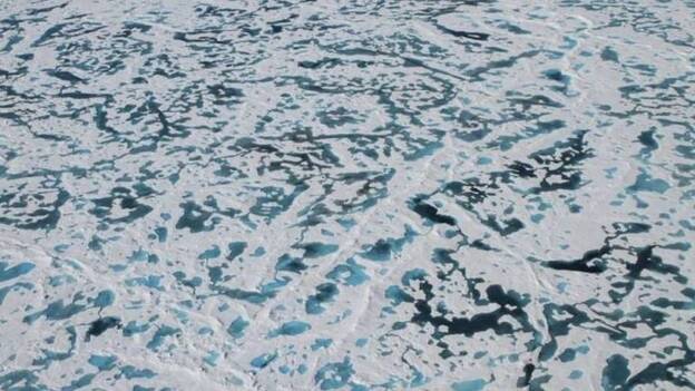 Solución al misterio del hielo verde en el Ártico