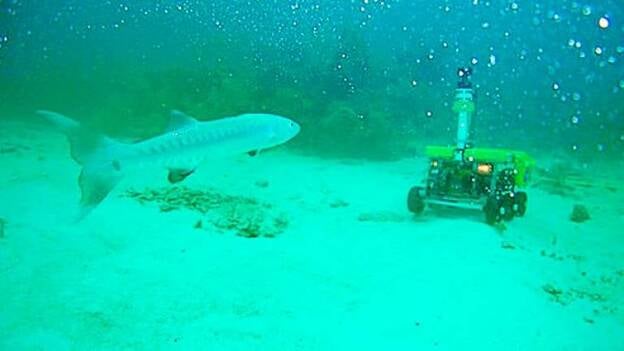 El volcán Tagoro le habla al mar