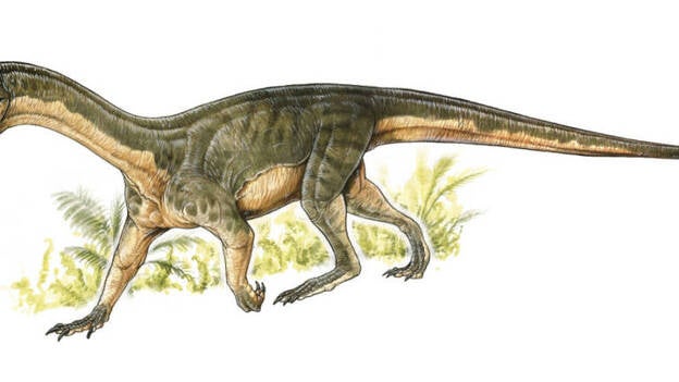 Los primeros parientes de los dinosaurios eran cuadrúpedos