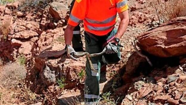 Una californiana en Ayagaures