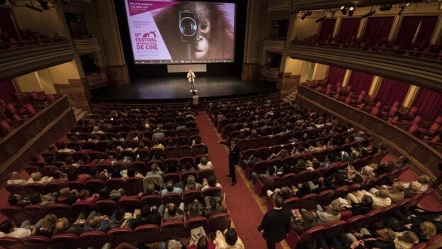 La sección oficial tira del público del festival de cine