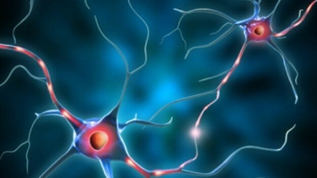 Científicos logran generar neuronas afectadas por procesos neurodegenerativos