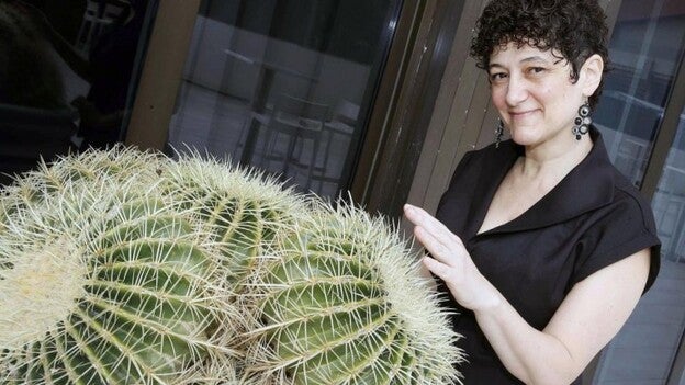 Pompei: “Los Simpson ha evolucionado un montón”