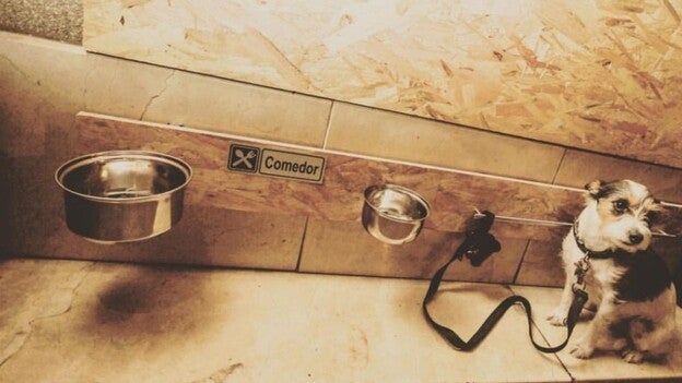 7 planes para este fin de semana en Gran Canaria