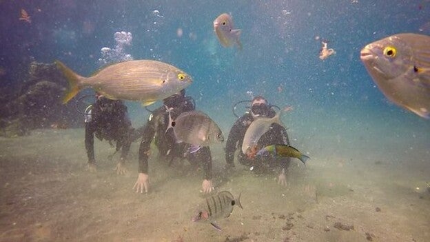 Apuesta por el crecimiento sostenible del sector del buceo en la isla