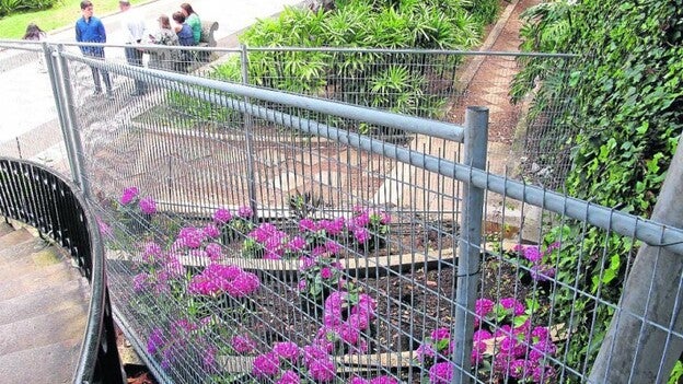 Arucas pone rejas a las flores