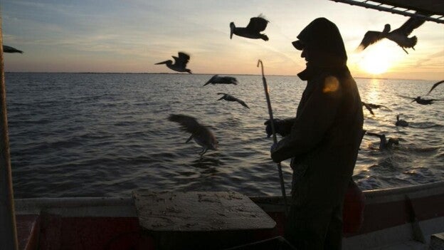 Un documental explora la huella canaria en Luisiana