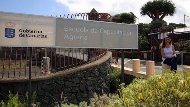 Un salto desde la oficina al monte