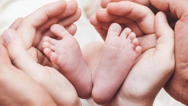 El Comité de Bioética pide que se prohíba la gestación subrogada