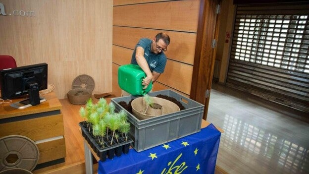 Bosques en macetas de agua