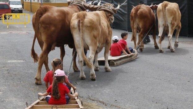 ¡Chacoleo, chacoleo, y a la liña!