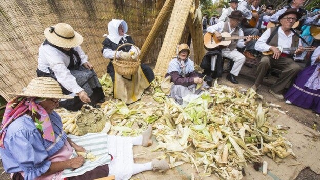 Un viaje de canariedad en el parque