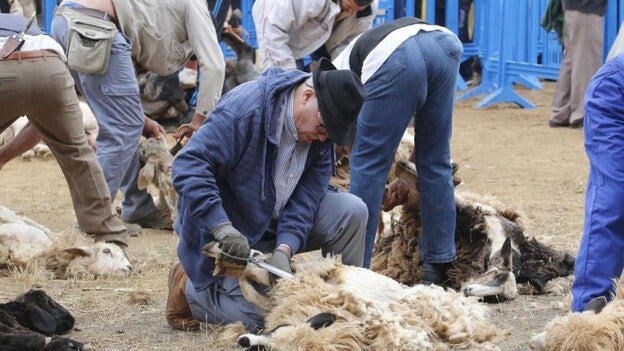 Trasquila, música, deporte y un buen sancocho
