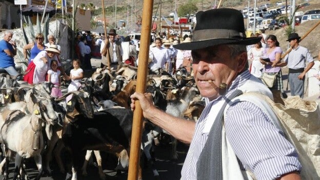 San Antonio el Chico abarrota Mogán