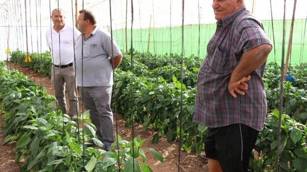 Visita a las explotaciones ganaderas y agrícolas de Antigua