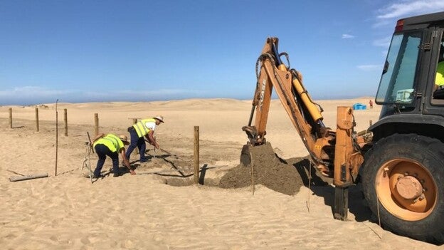 Más protección para las Dunas