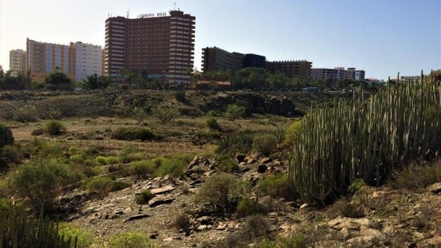 Pablo Rodríguez: «Sería terrible que no se construyera el Siam Park»