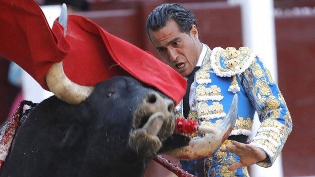 Un toro mata a Iván Fandiño en Francia