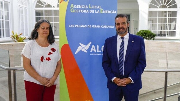 Varios expertos debaten sobre un nuevo modelo energético