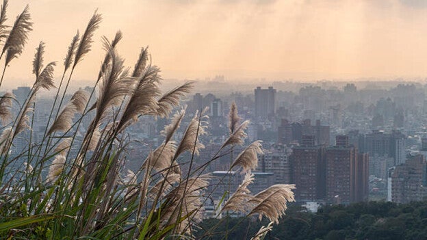 Un hombre mata a tres personas y después se suicida en Taiwán
