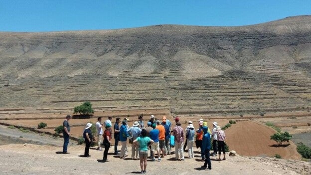 Las gavias como ejemplo de gestión del suelo