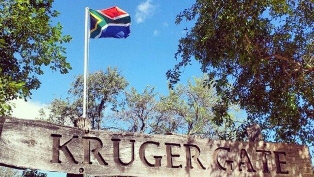 Cuatro leones escapan de un parque nacional en Sudáfrica