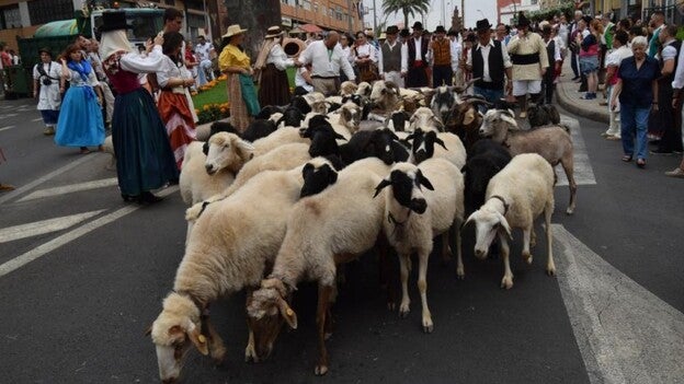 Gáldar celebra con devoción su romería