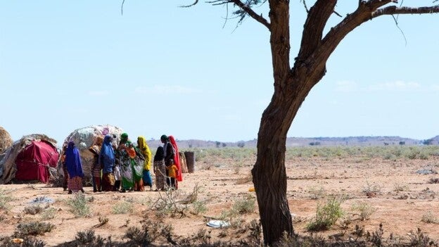 El riesgo de hambruna sigue planeando sobre Somalia