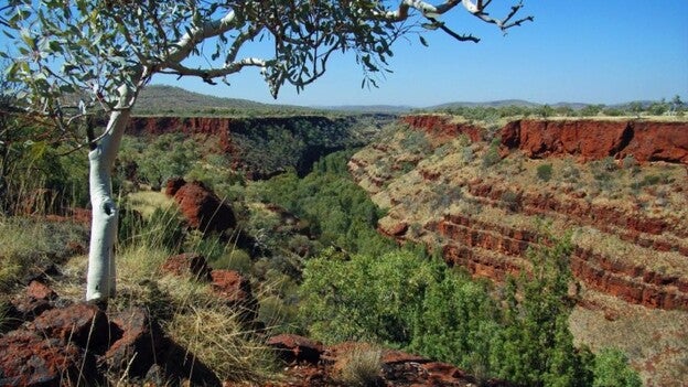 La vida comenzó en tierra firme y no en el mar