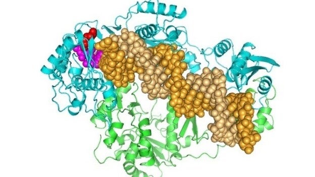 Una inyección contra el VIH podría sustituir al tratamiento