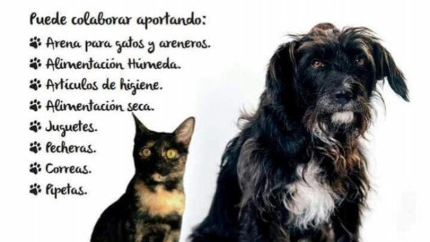 Hipercor celebra la 3ª recogida solidaria de alimentos para mascotas
