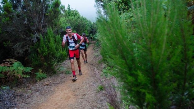El campeonato de Canarias, en juego