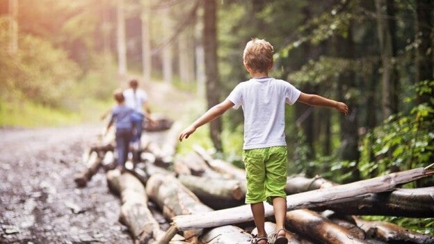 Disfruta de un verano sostenible con el medio ambiente