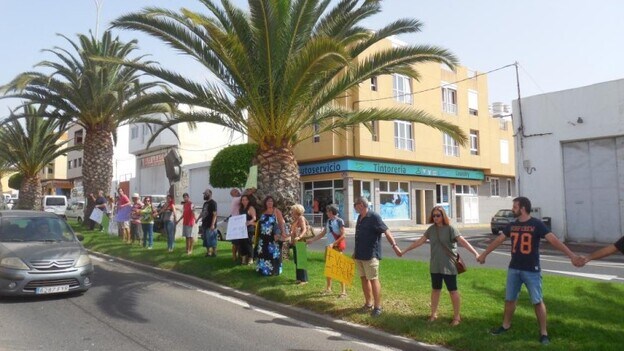 Nueva protesta para salvar las palmeras de calle Bethencourt