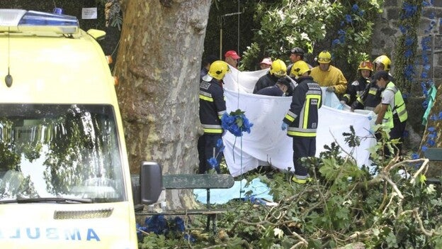 Varios muertos tras caer un árbol durante una romería