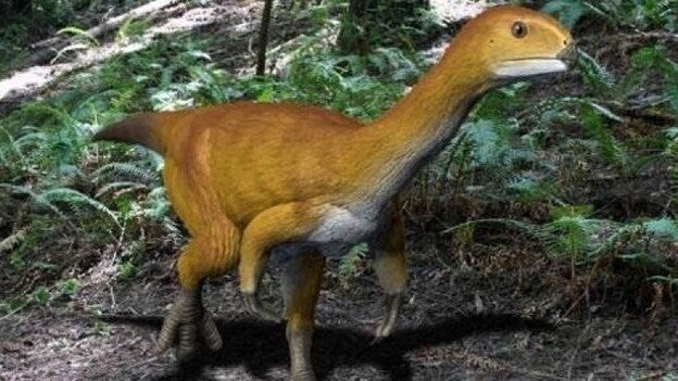 'Chilesaurus', el eslabón perdido de los dinosaurios