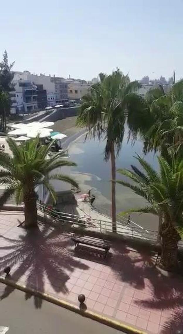 Aparecen microalgas en Las Marañuelas