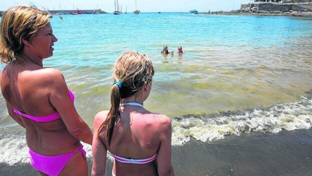 Canarias tendrá que vivir con las microalgas